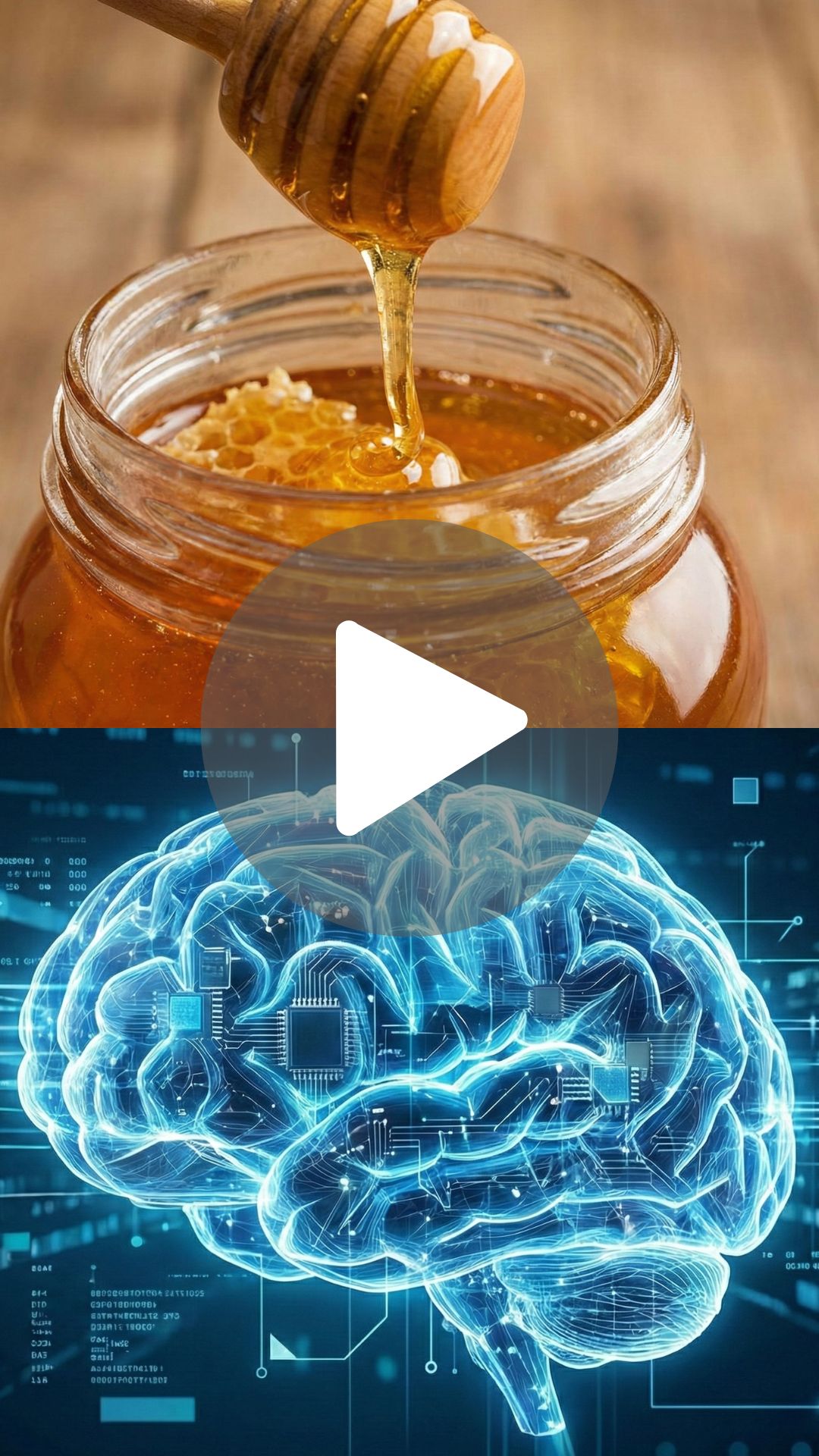 Memory Research